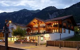 Hotel Steinbock